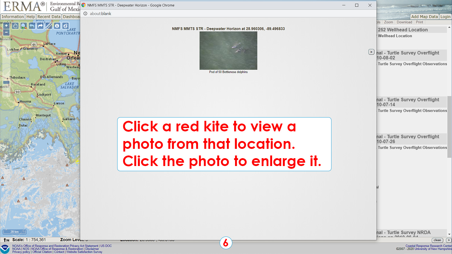 Step 6: Click a red kite to view a photo from that location. Click the photo to enlarge it.