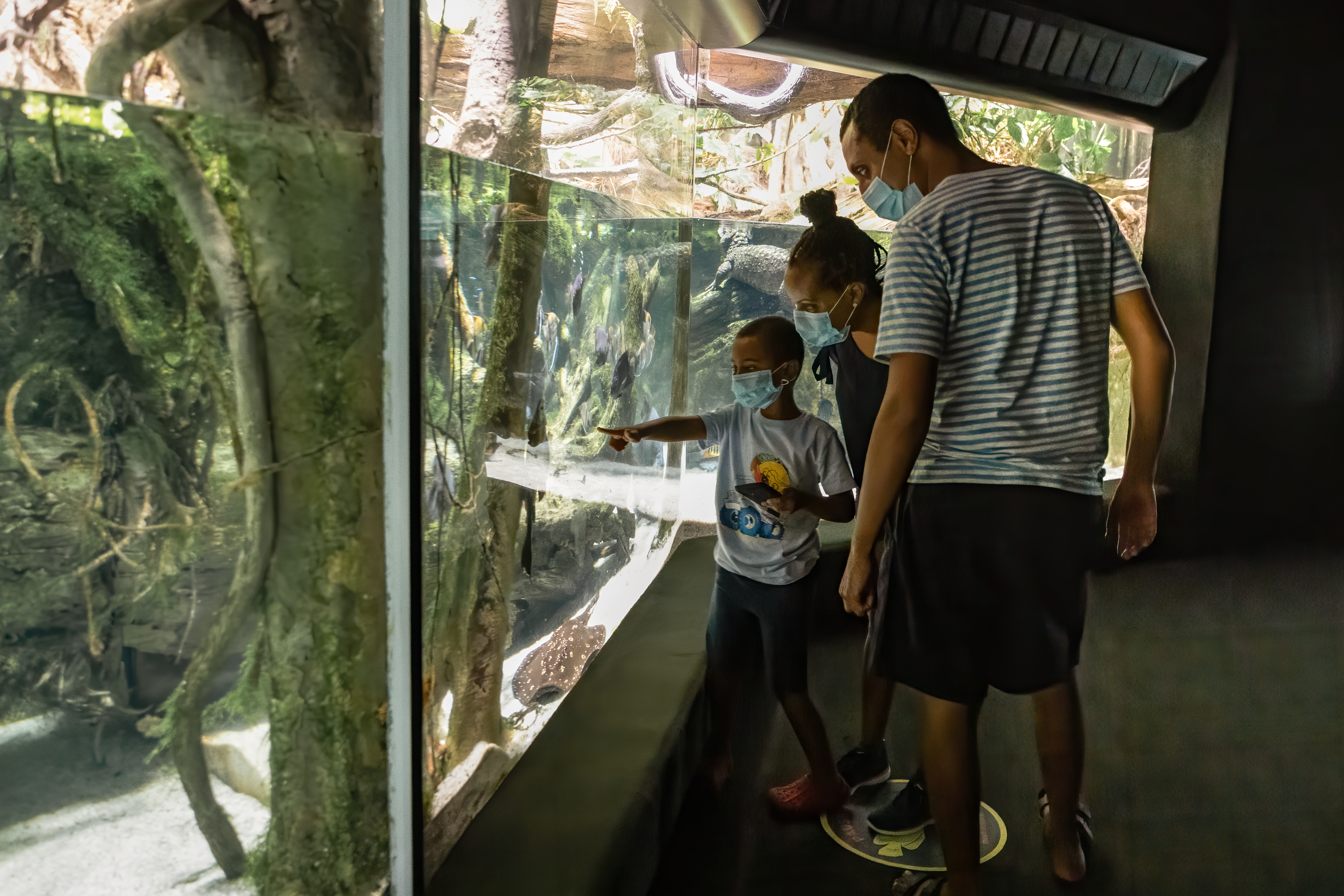 A masked family looks at an aquarium tank, with the child pointing directly at a fish.