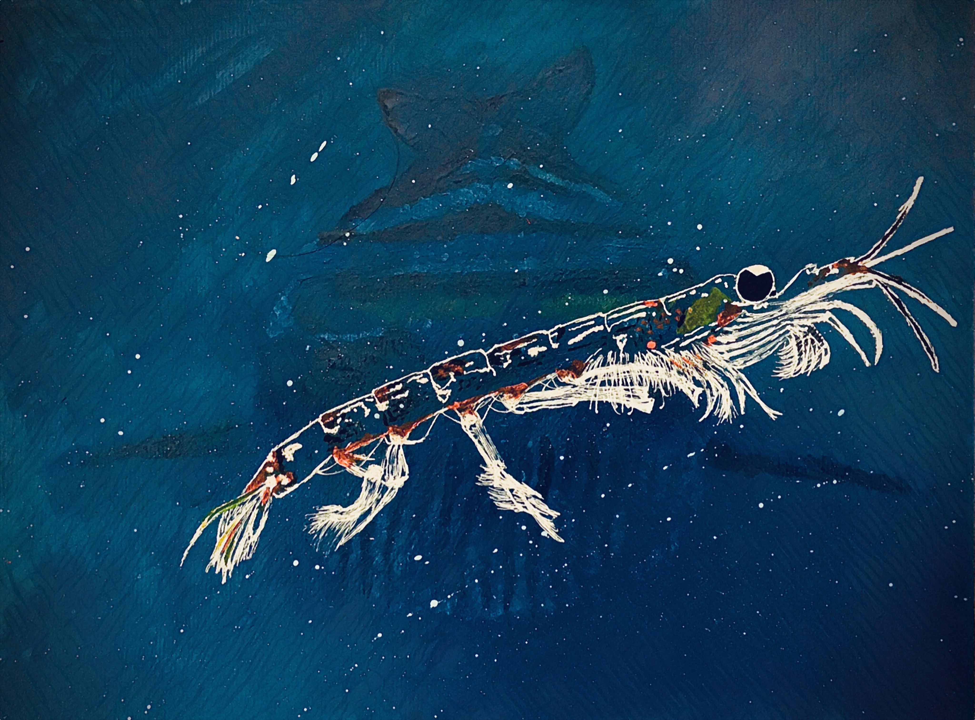 Painting of a krill outlined in white against a dark background. The faint silhouette of a baleen whale opening its mouth emerges from the background. 
