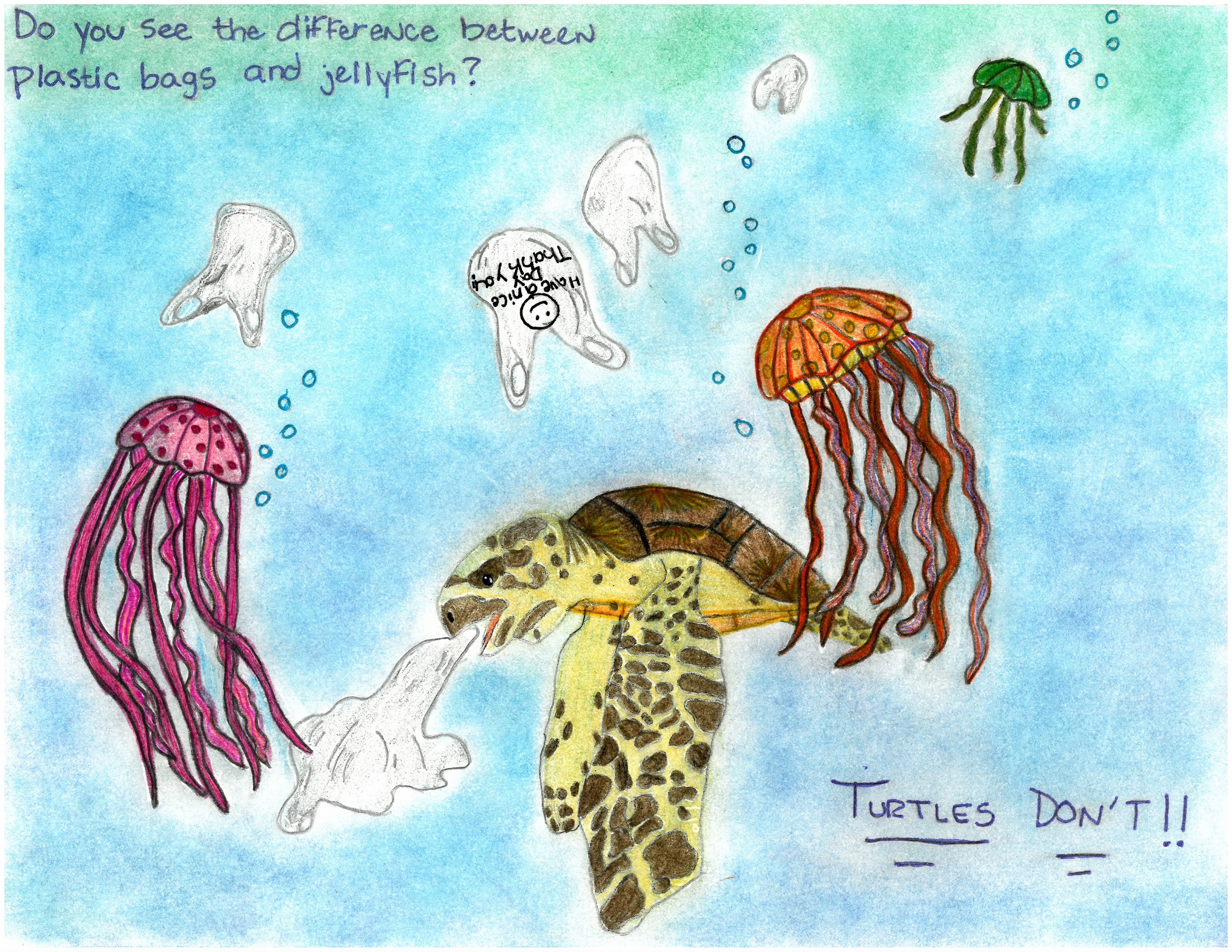 Text: Do you see the difference between plastic bags and jellyfish? Turtles don't! Image: Child’s artwork depicting a sea turtle in the ocean that is surrounded by jellyfish and plastic bags. The turtle is coughing up a plastic bag because it mistook the marine debris as a jellyfish.