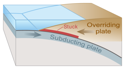 One of the many tectonic plates that make up Earth's outer shell descends, or "subducts," under an adjacent plate.