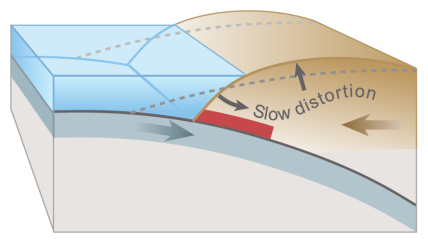 Stuck to the subducting plate, the overriding plate gets squeezed. Its leading edge is dragged down, while an area behind bulges upward. 