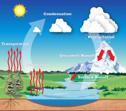 The basic hydrologic (water) cycle