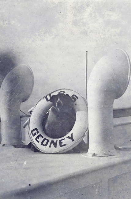 Jack, the canine mascot of the USC&GS Gedney, poses inside a life preserver.