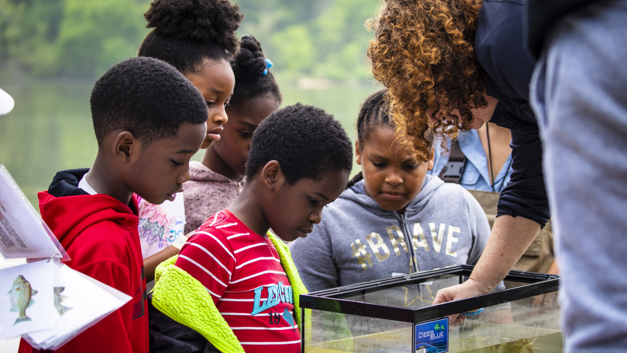 Children observing a fish tank education session