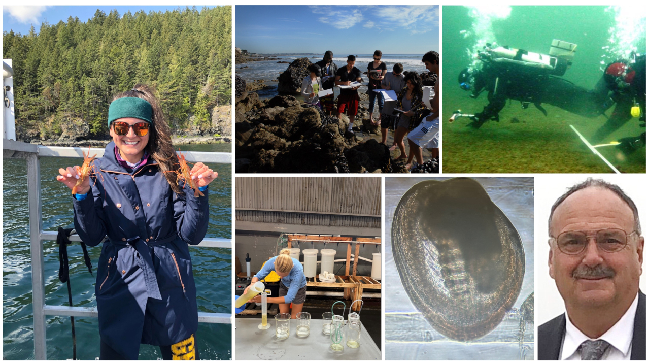 A grid of photos of seafood experts. Left: Kayla Menu-Coursey, Middle: Students at Santa Monica College (top) and a person pouring mussel water samples, with a picture of a mussel under a microscope(bottom). Right: Geoduck survey divers from the Nisqually Tribe (top), Peter Struffenegger (bottom).