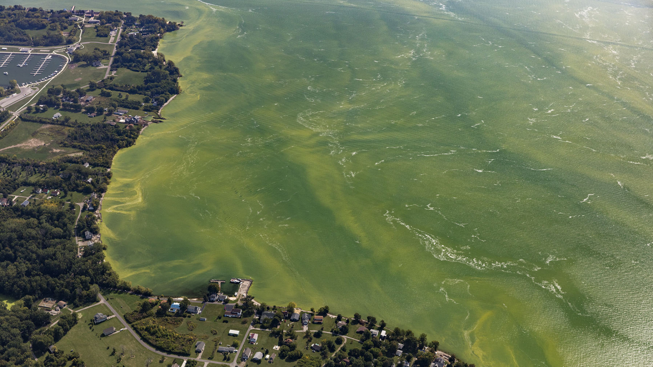 Algal bloom in the western basin of Lake Erie, as seen by aircraft during a flyover on September 2017.
