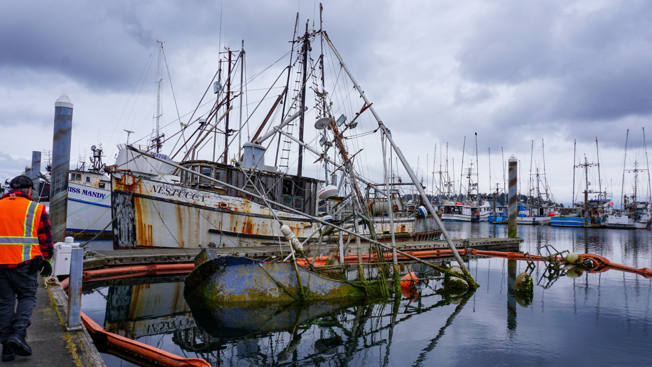 A photo of an abandoned and derelict vessel in Neah Bay, Washington, within the Olympic Coast National Marine Sanctuary.