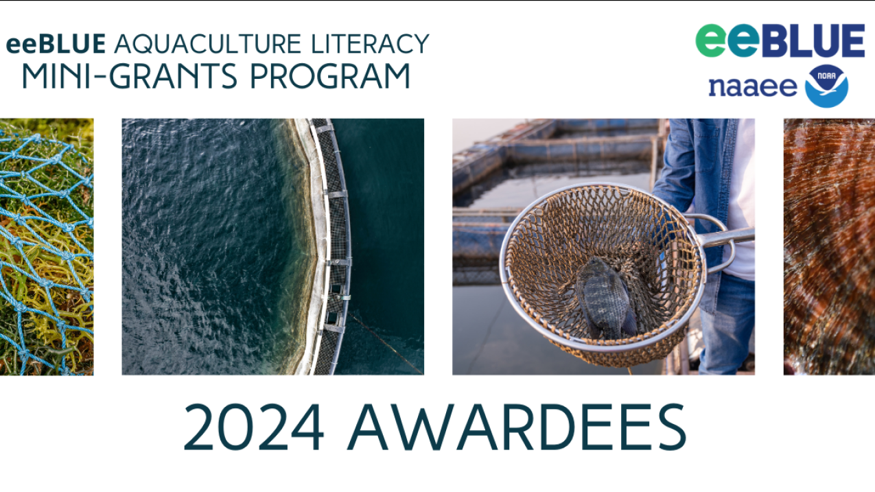 A series of aquaculture-centered images featuring a net with a fish, algae, and a basin of water. Text: Aquaculture Literacy Mini-Grants Program announces the 2024 awardees.