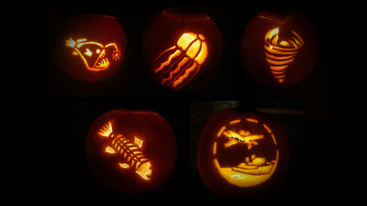 Five pumpkins carved with different NOAA-themed templates including an anglerfish, a jellyfish, a tornado, a bony fish, and a ship and plane.