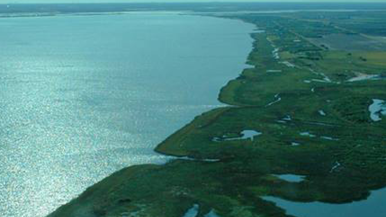 The Gulf of Mexico experiences the highest sea level rise rates in the U.S. To help understand how such changes in water levels may impact coastal communities, and help keep maritime commerce safe and efficient, NOAA established a sentinel site program, such as this site in the northern Gulf of Mexico
