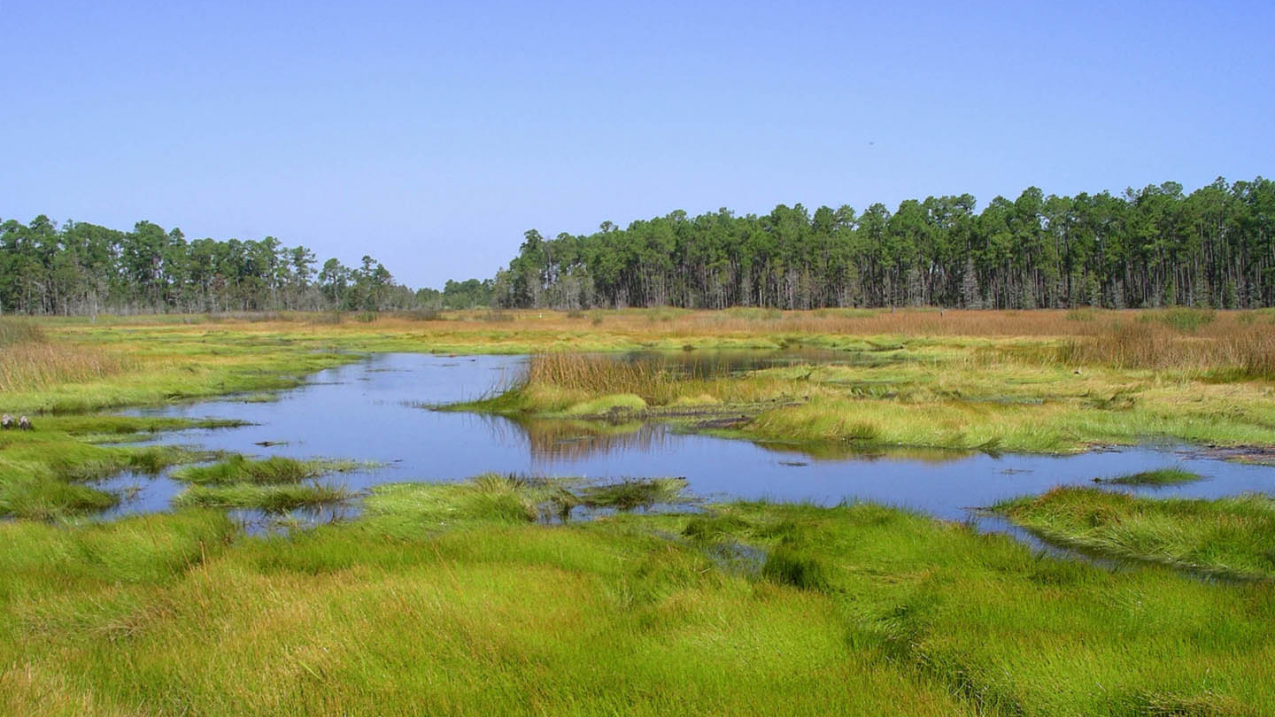 Coastal Sediments—Sand Colors (U.S. National Park Service)