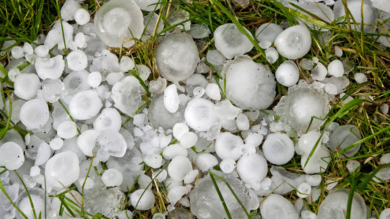Hail is product of severe thunderstorms and was responsible for causing widespread damage to homes, businesses and agricultural crops across many parts of Texas in March and April 2016.