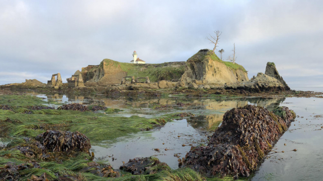 Low tide at Lighthouse Island, Oregon, a winner from our 2018 NOAA Habitat Month Photo Contest. 
