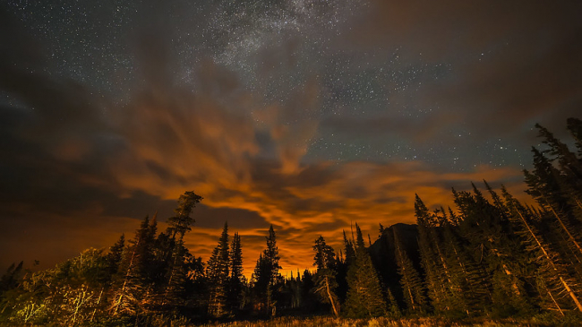 Western Forest Sunset