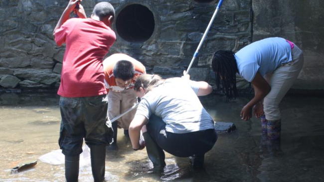 Students kneel and look into a stream while collecting water samples.