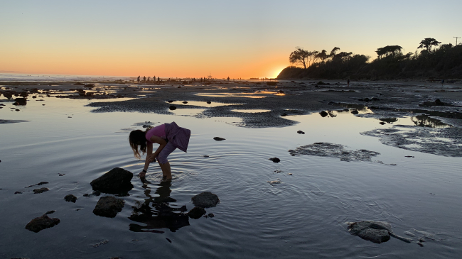 A young girl reaches into a tide pool. The sun is setting in the background, showing silhouettes of other people tide-pooling in the distance.