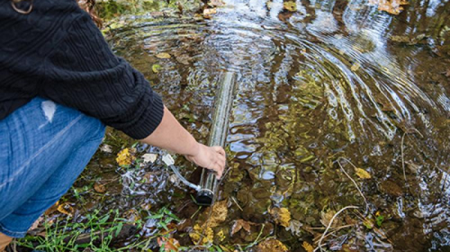 An educator reaches a clear plastic tube into a shallow stream. 