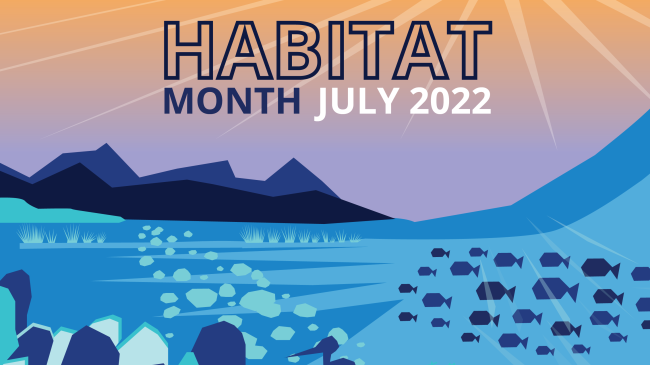Habitat Month graphic depicting habitat with fish, corals, and other wildlife. 