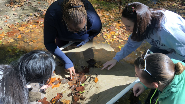 Four teachers look at leaves that fell during autumn along side a creek.