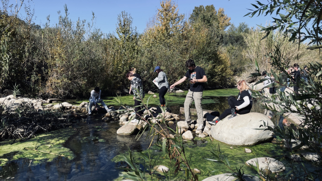Six teens stand or sit on rocks that cross a stream. Two are holding sampling probes and another holds a clipboard. There is thick, shrubby vegetation on either side of the stream, and there are large mats of algae in the water. 