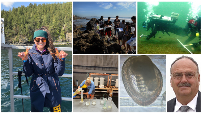 A grid of photos of seafood experts. Left: Kayla Menu-Coursey, Middle: Students at Santa Monica College (top) and a person pouring mussel water samples, with a picture of a mussel under a microscope(bottom). Right: Geoduck survey divers from the Nisqually Tribe (top), Peter Struffenegger (bottom).