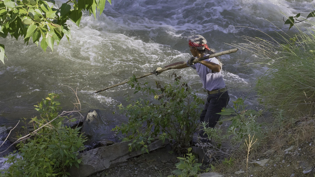 A member of the Nez Perce tribe fishes using traditional methods.