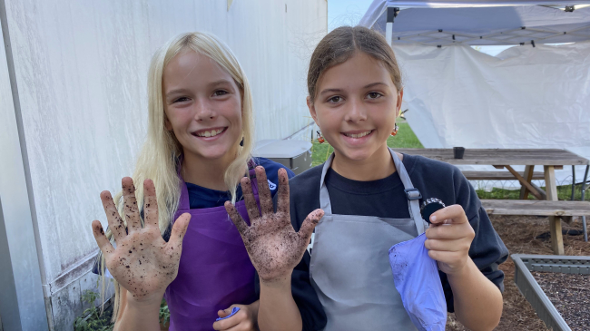 Two young students hold up their dirt-covered hands while standing next to their garden beds of Juncus salt marsh grasses.