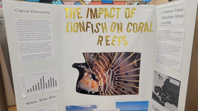A tri-fold display board titled The Impact of Lionfish on Coral Reefs sits on a table top. Content on the board includes an image of a lionfish, a graph of lionfish removals, two images of coral reefs in the ocean, and two maps showing invasive lionfish distribution, as well as text about what the students learned.
