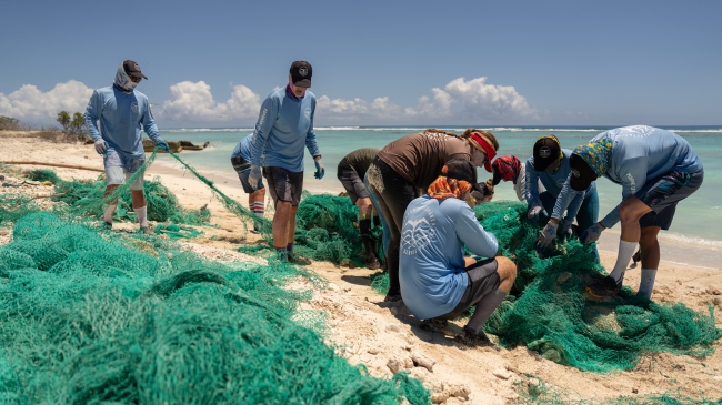 Marine debris technicians from the Papahānaumokuākea Marine Debris Project scour the shoreline of Midway Atoll on April 23, 2024 to remove extensive amounts of marine debris, including discarded nets which can entangle and kill birds, seals, turtles and destroy coral reefs. They harm native seabirds like the Laysan and Black-footed albatrosses, Hawaiian green sea turtles and Hawaiian monk seals. Credit: A. Sullivan Haskins/ PMDP Hawaii