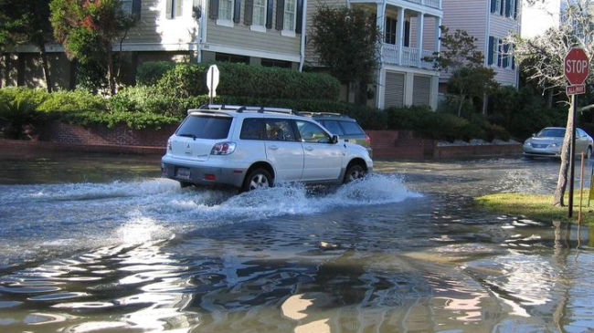 Car driving through flooded street past houses and a stop sign.