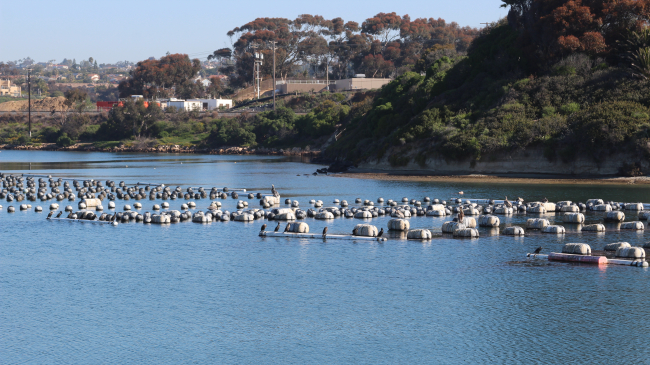 Photo of an aquaculture farm in Carlsbad, CA, taken in 2020. Ocean observations provide critical data and information that we rely on — like weather forecasts and water quality information. Maritime industries need timely, high-quality ocean, coastal and Great Lakes data for informed decision making