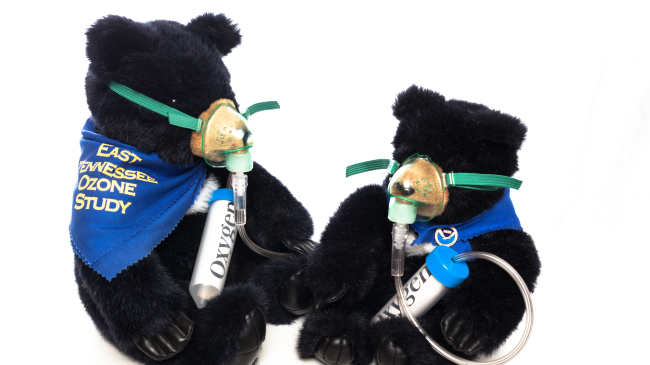 These small black bears, which currently sit on a shelf at NOAA’s Atmospheric Turbulence and Diffusion Division in Oak Ridge, Tennessee, were used to remind people about the ecosystem impacts of air pollution in 2006. The bears wear gas masks and sport blue kerchiefs with NOAA logo pins around their necks.