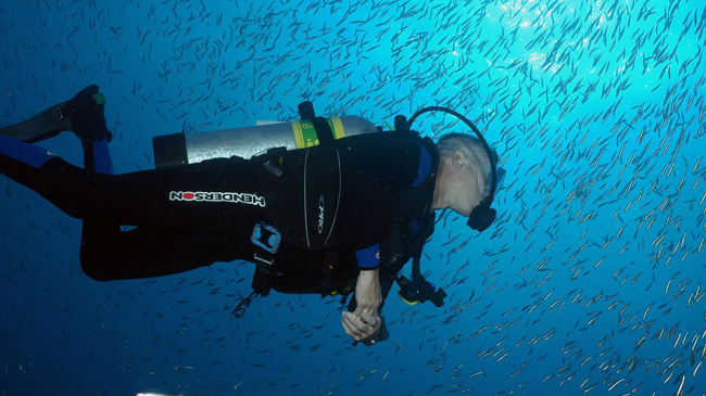 A diver embarks on an underwater adventure at Flower Garden Banks National Marine Sanctuary. 