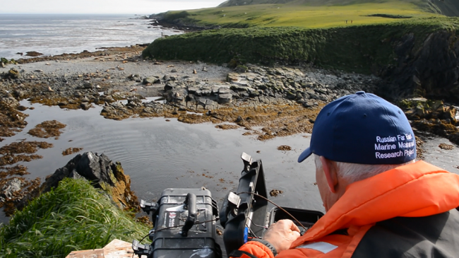Scientist conducting marine mammal research.