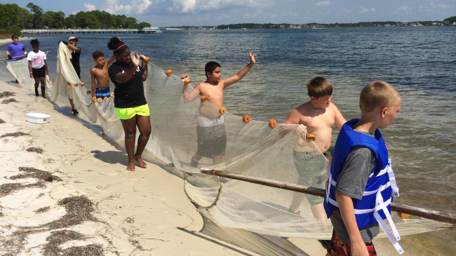 Students taking part in a field experience (seining) with the Science and Discovery Center of Northwest Florida to learn about watersheds, as part of their Gulf of Mexico B-WET award (Science and Discovery Center of Northwest Florida).
