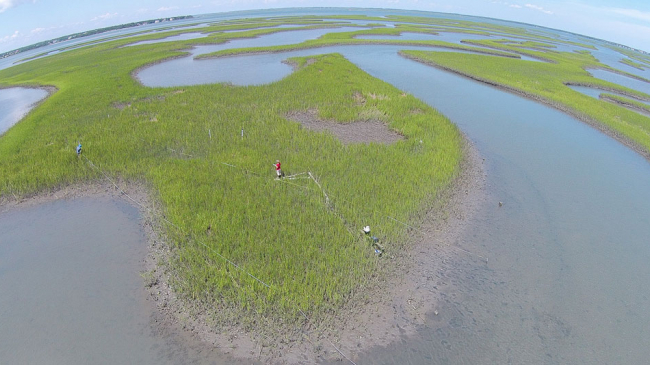 Aerial view of Middle Marsh in the North Carolina Rachel Carson Reserve, part of the North Carolina Coastal Reserve and National Estuarine Research Reserve.