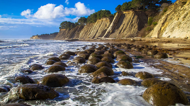 About three miles south of the town of Point Arena, follow the coastal bluff trail to Bowling Ball Beach north of Schooner Gulch State Beach. Exposed during low tides unique geologic features – large sandstone orbs called concretions –  have earned Bowling Ball Beach its name.