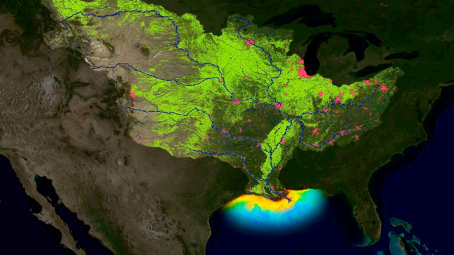 The largest hypoxic zone in the U.S. forms in the northern Gulf of Mexico.