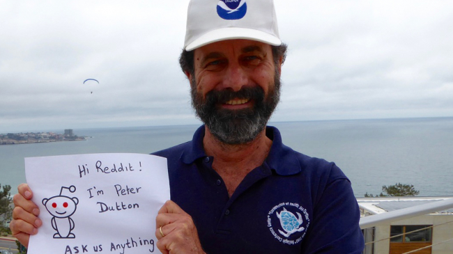 NOAA Fisheries Scientist Peter Dutton