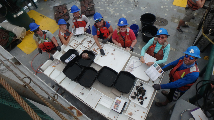 Teachers standing at a table on the deck of a working research vessel wearing hard hats look up for a photo while sorting invertebrates on trays.