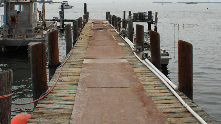 An empty dock on a gray, overcast day. Empty oyster cages sit on the end of the dock.
