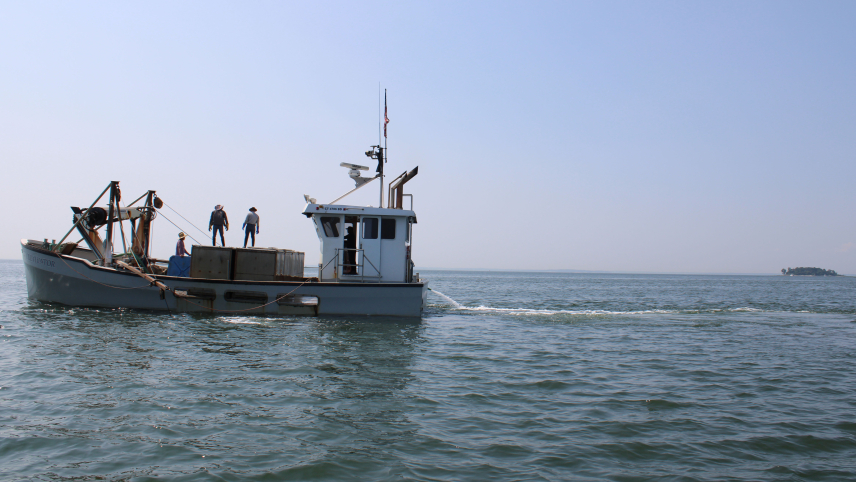 A sideview of an oyster harvesting boat named "The Cultivator" on the water. Three people stand on the boat looking into the distance, two stand on raised cubes. A fourth person is in an enclosed helm.