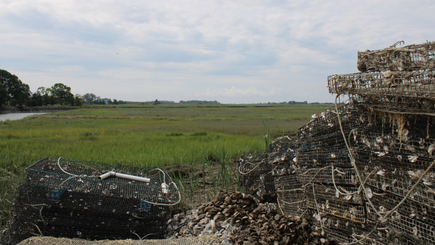 Empty oyster cages are stacked next to a small pile of oyster shells. The photograph looks past the oyster cages at a marshy landscape.