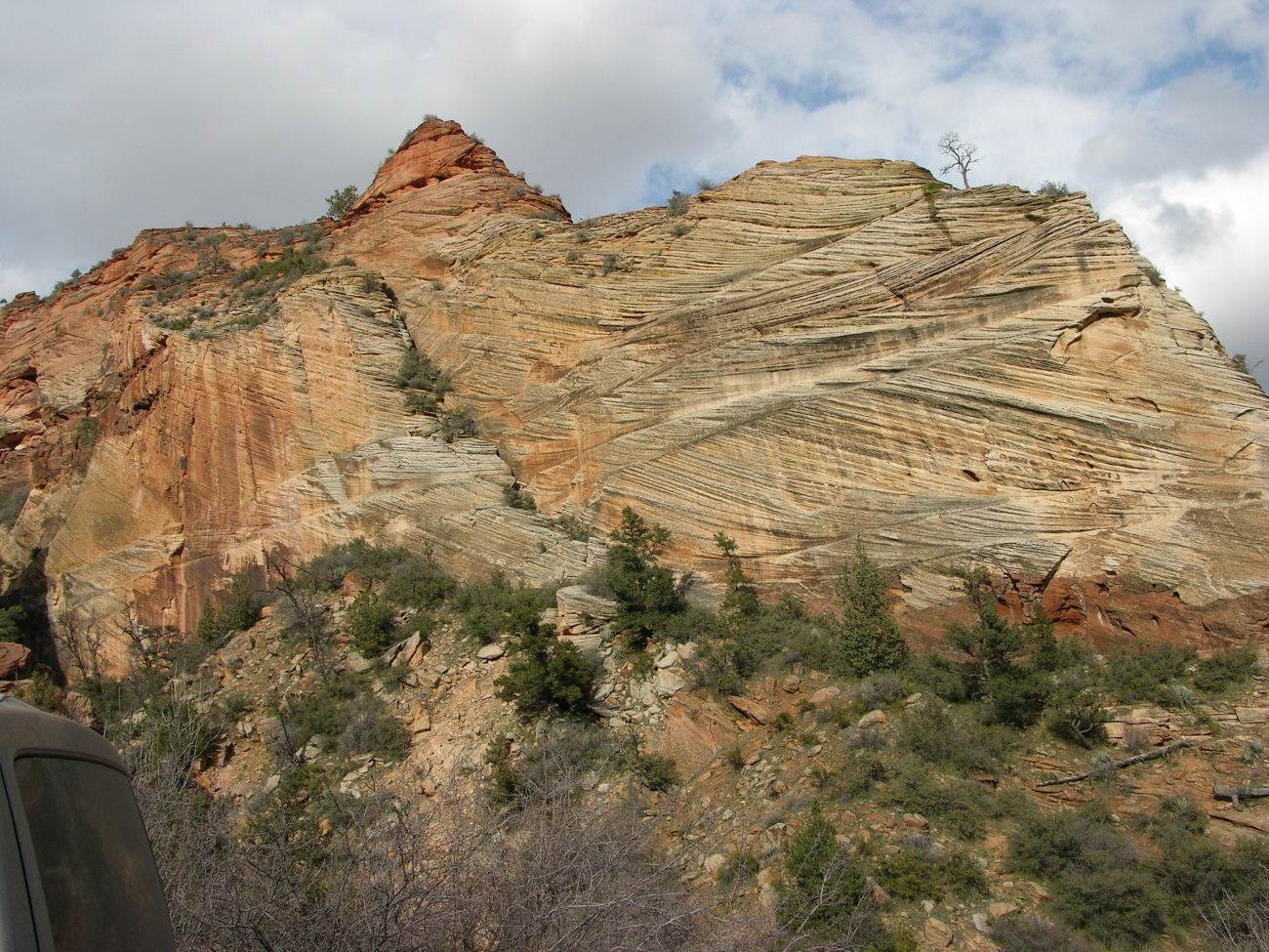 A view in Zion National Park