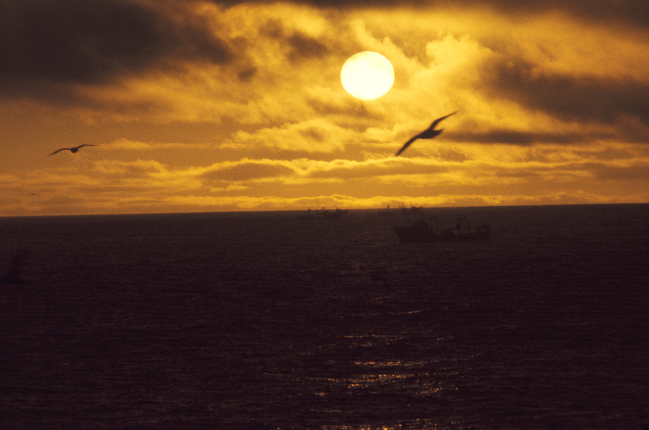 Birds and crab fishing vessels silhouetted in a spectacular Bering Sea sunset