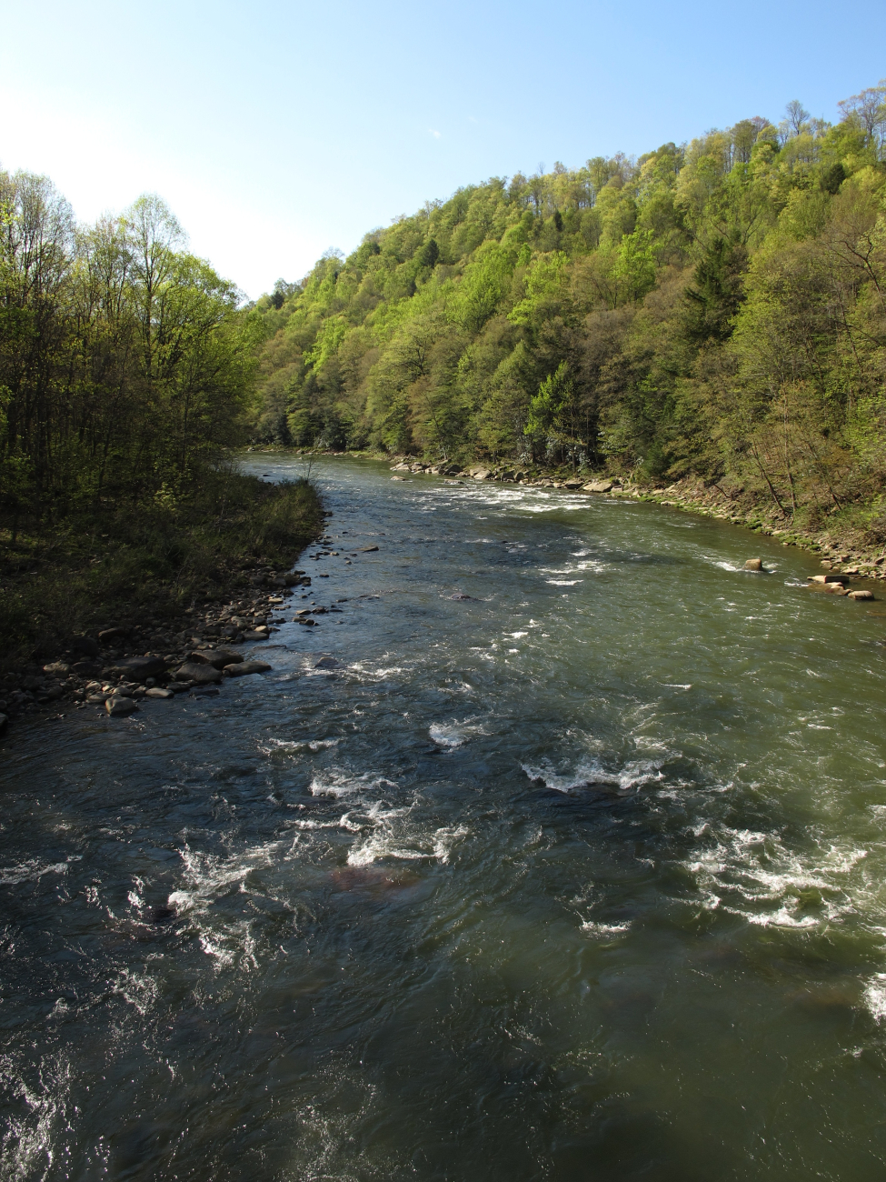 The Casselman River in western Maryland