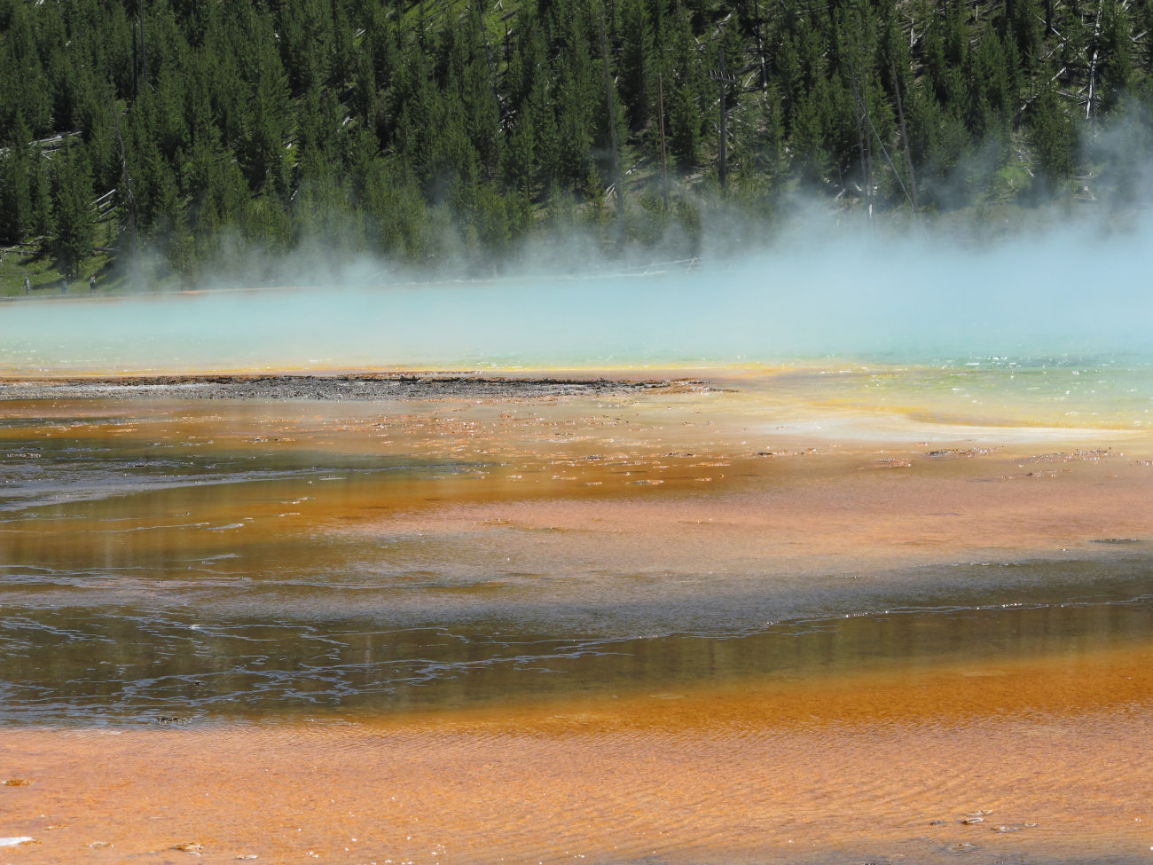 Grand Prismatic Spring in the Midway Geyser Basin