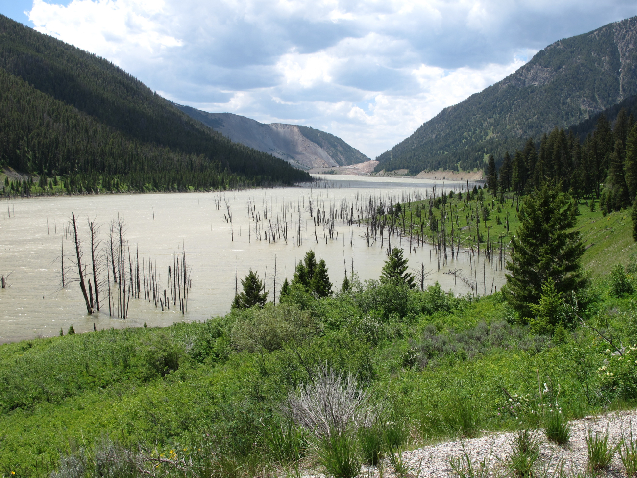 Quake Lake, formed on August 17, 1959, from a great landslide damming theMadison River following a 7