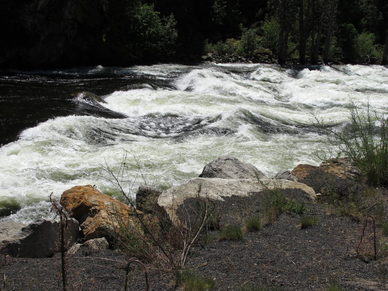 Big water on the Lochsa River